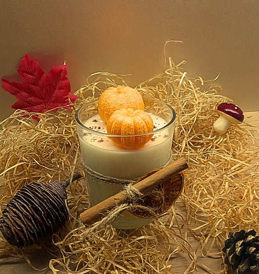 VELA DE CERA DE SOJA CON AROMA A NARANJA Y CANELA