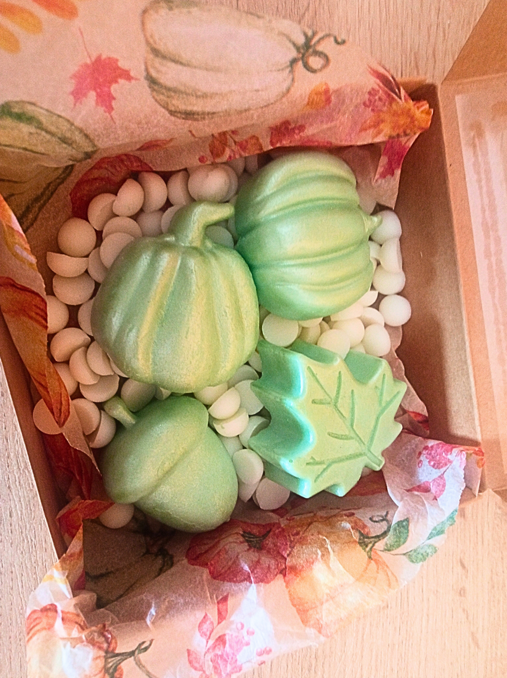 wax melts cera de soja con aroma a tierra húmeda y hojas secas, petricor, tierra mojada, olor a otoño